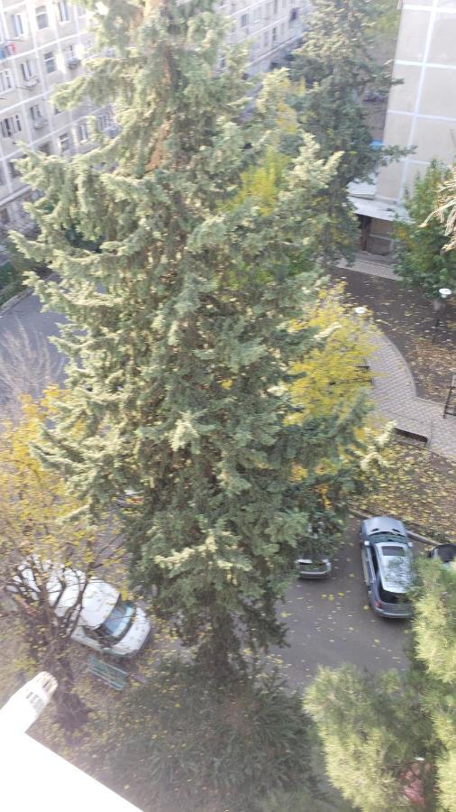 Lovely Apartment Tiflis Exterior foto